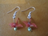 pink_cranes_lq